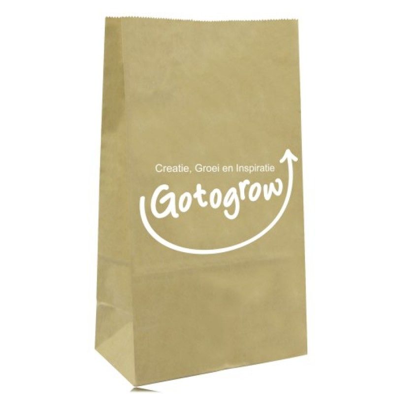 Wholesale Stand Up Paper Merchandise Bag