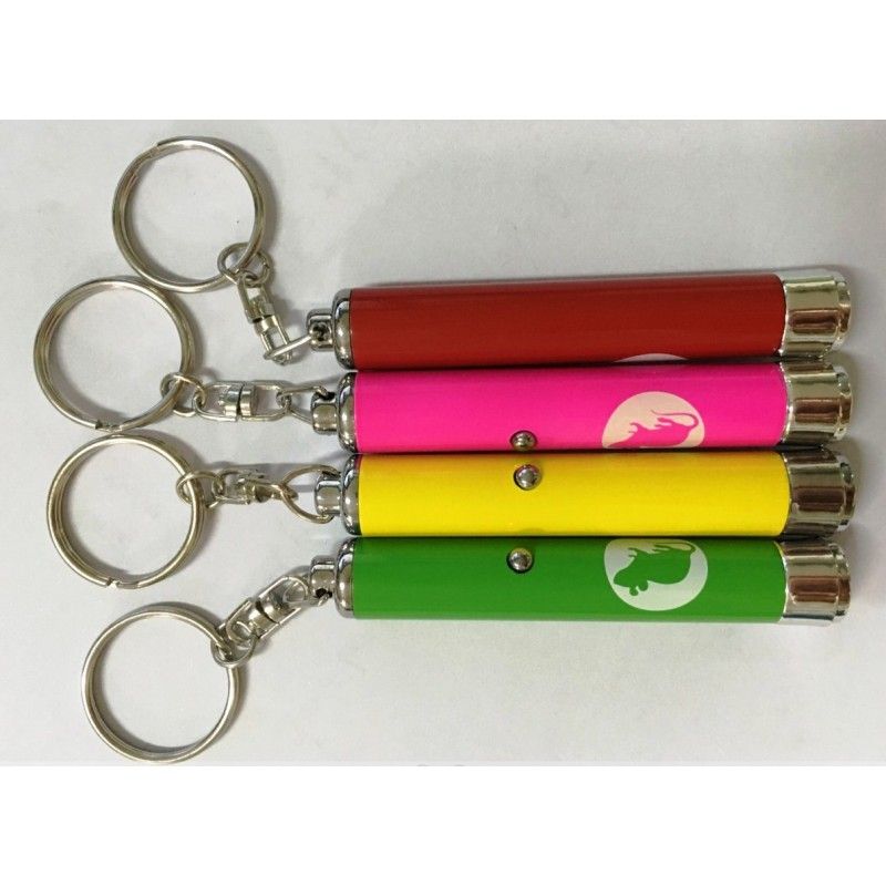 Promotional Hot sale LED Keychain