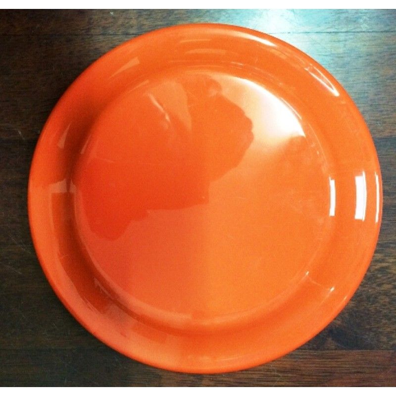 Promotional Plastic frisbee-9inches