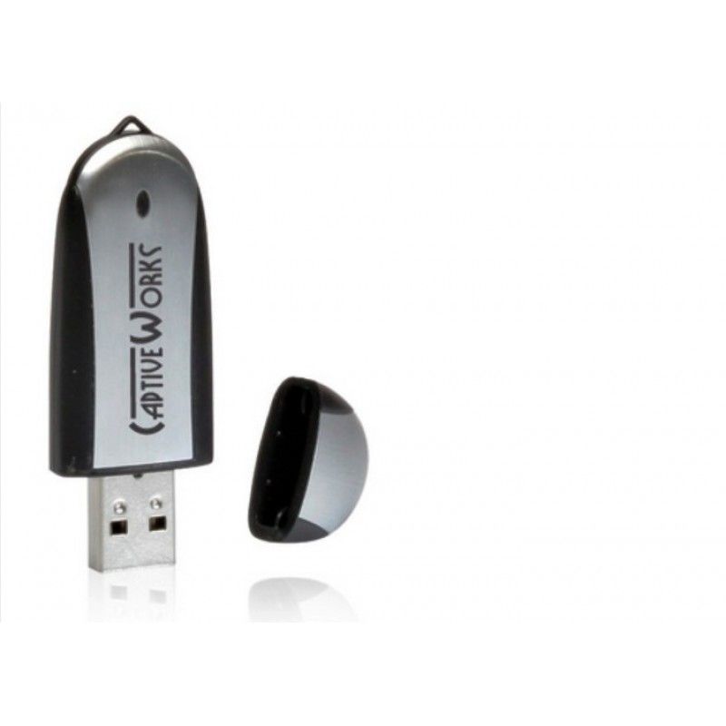 Promotional Two Tone 2GB Advertising USB Flash Drives